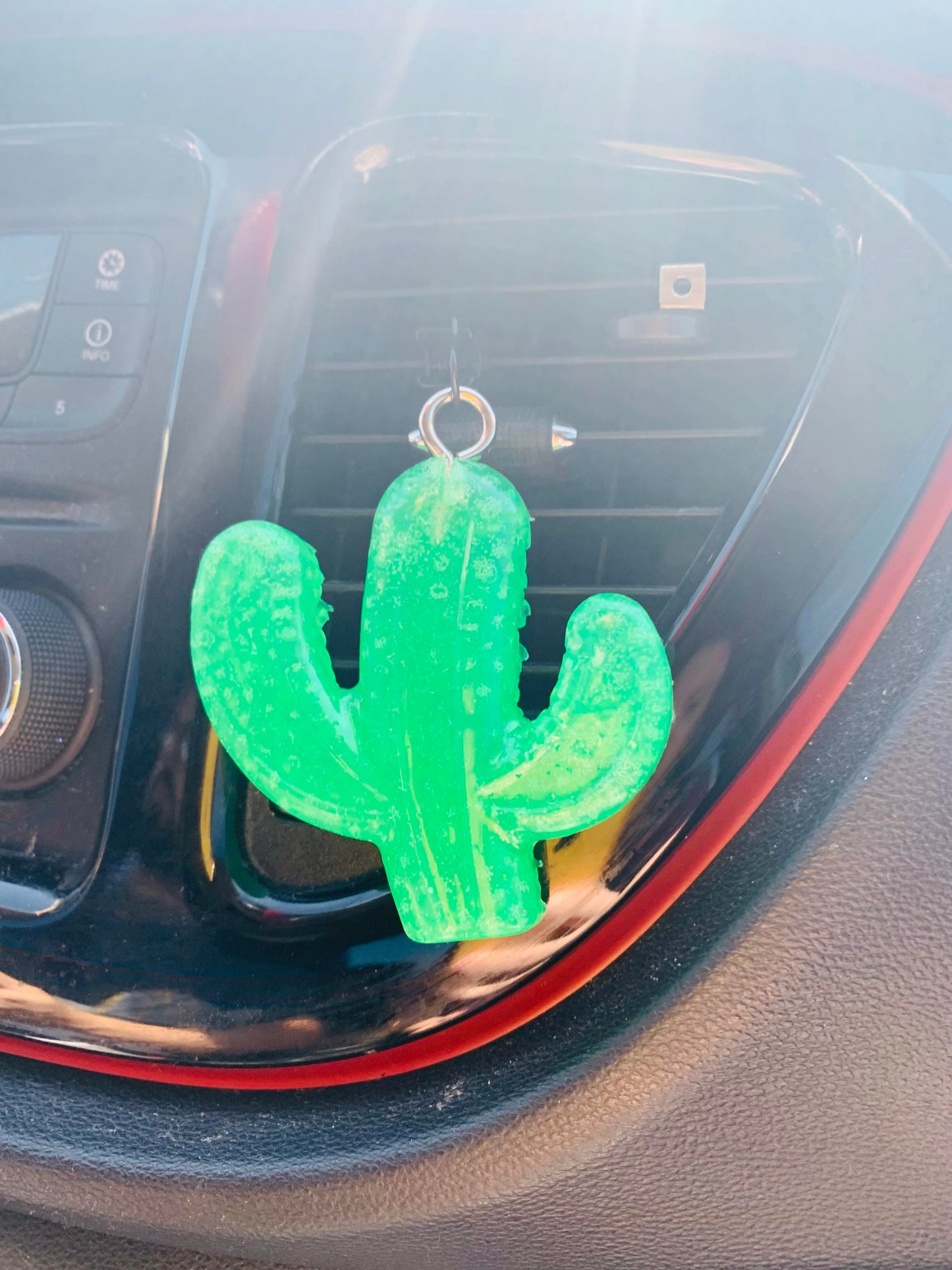 Cactus Vent Clips